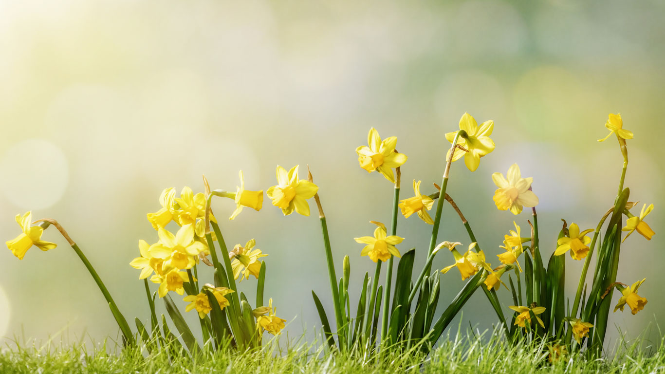 Spring i London coming soon